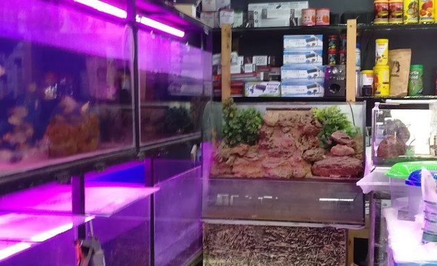 Photo of Best Aquarium Wholesale Dealers