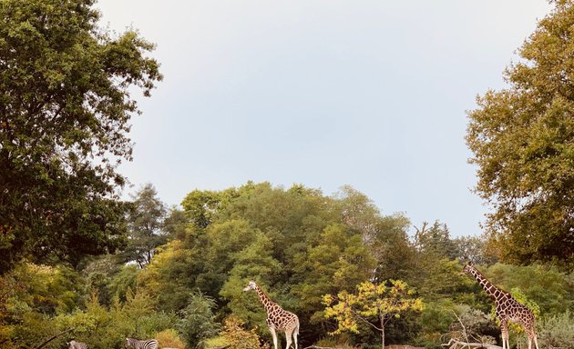 Photo of ZooStore South at Woodland Park Zoo