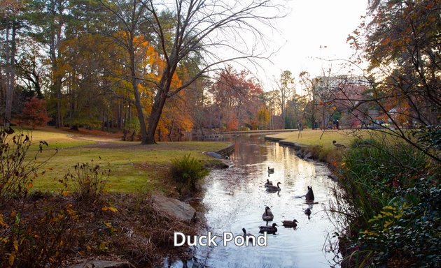 Photo of Duck Pond Park