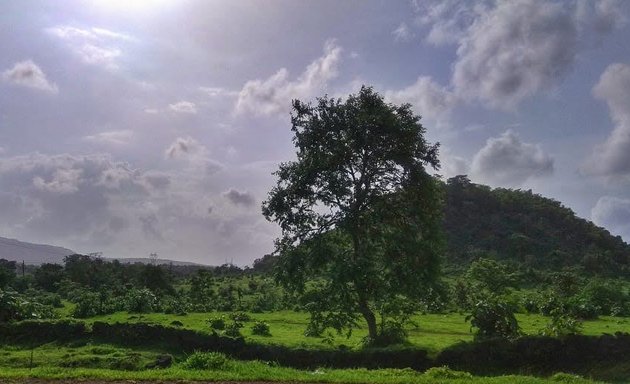 Photo of Kolad River Rafting