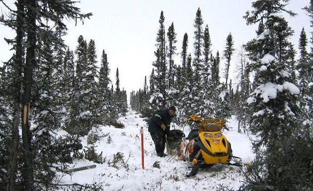 Photo of Stevens Surveys