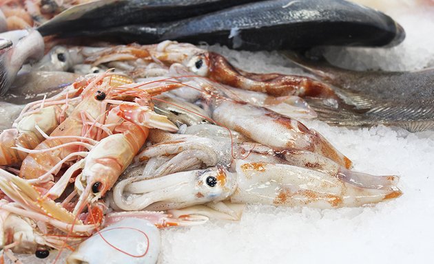 foto Pescheria Melchiorri- Viale delle Medaglie d'Oro