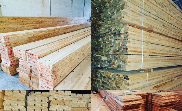 Photo of Saplings Timber Trading