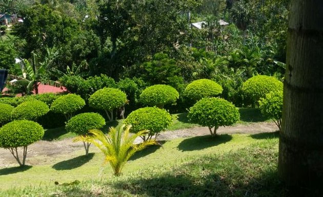 Foto de Jardinería Leonardo