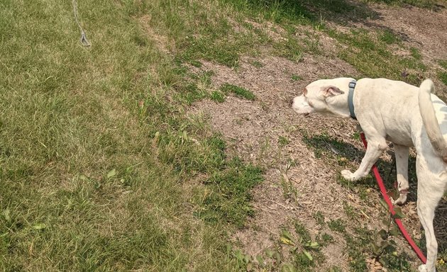 Photo of Summit off leash dog Park