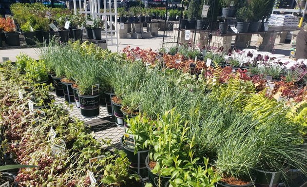 Photo of Garden Centre at Lowe's