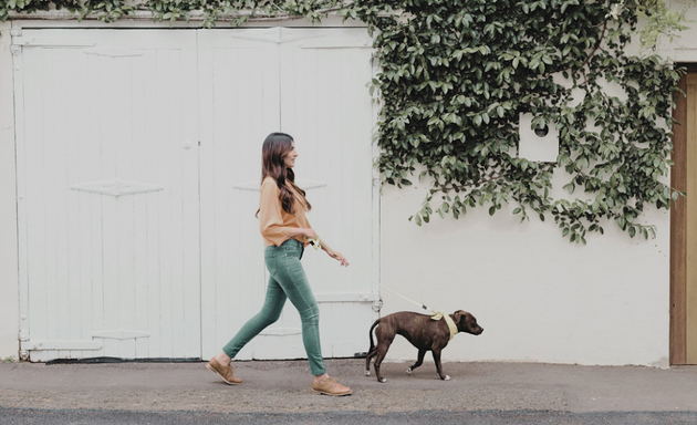 Photo of Bone & Biscuit - Keswick