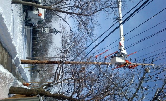Photo of Performance Powerline Services