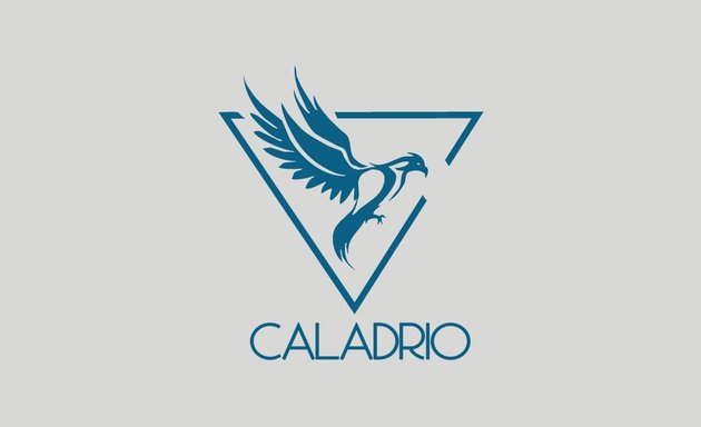Photo of Caladrio group