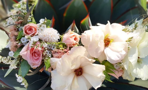 Photo of The Velvet Poppy, Floral Art and Event Design