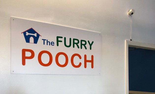 Photo of The Furry Pooch