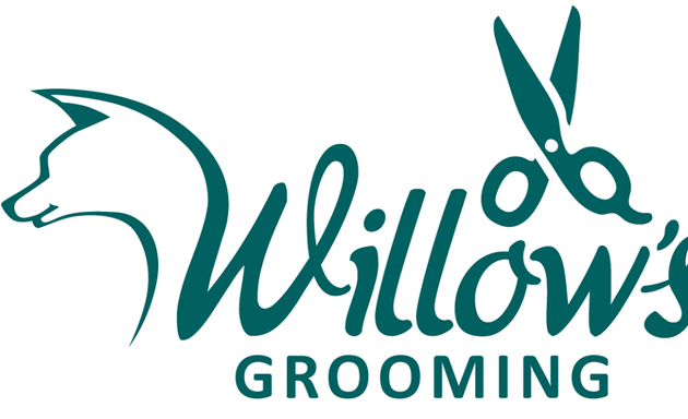 Photo of Willows Force Free Dog Grooming