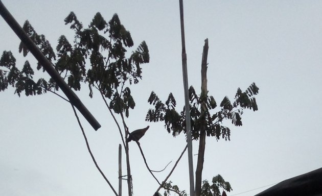 Photo of Janta Nagar Durga Mata Mandir