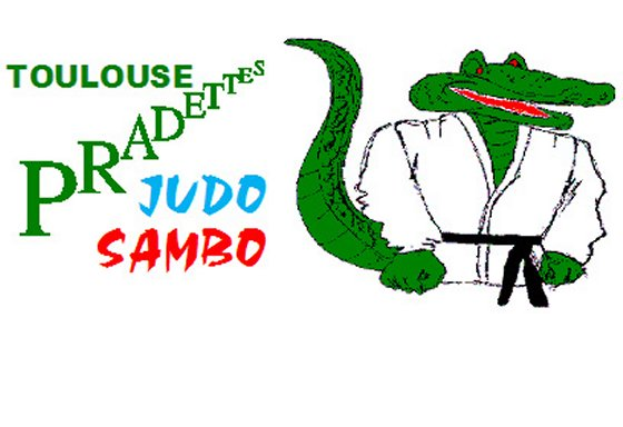 Photo de Toulouse Pradettes Judo Sambo