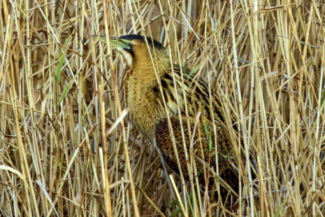 Photo of Natural England