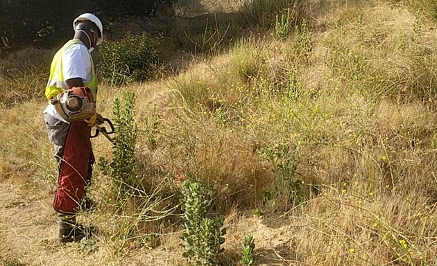 Photo of Brian Walsh Brush Clearance