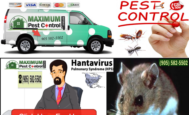Photo of Maximum Pest Control Services