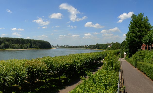 Foto von FOTO STEPHAN Behrla/Nöhrbaß GbR