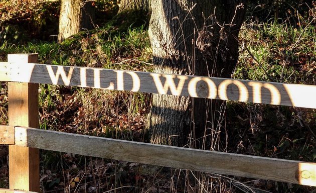 Photo of The Wild Wood