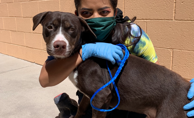 Photo of City Of El Paso Animal Services