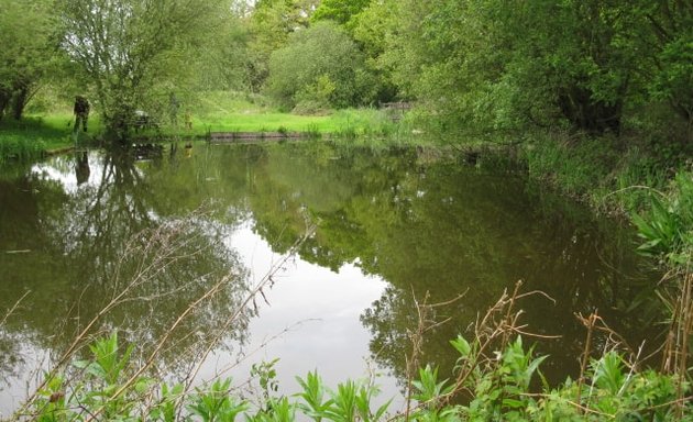 Photo of Field Studies Council - London: Bushy Park