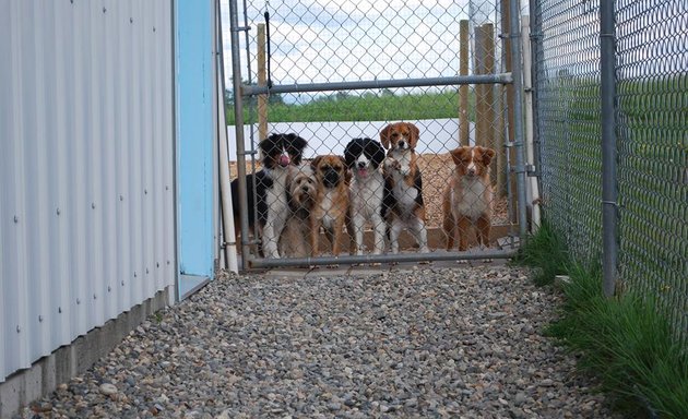 Photo of Time 4 Dogs Boarding Kennel