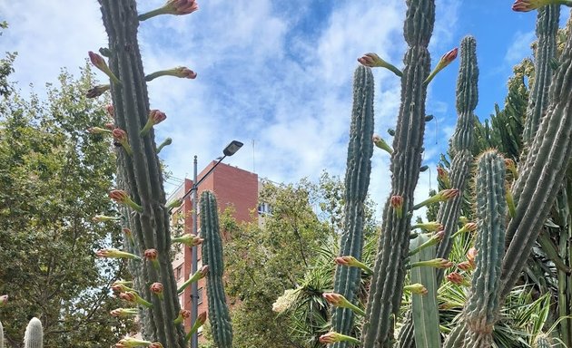 Foto de Parque de Cactus