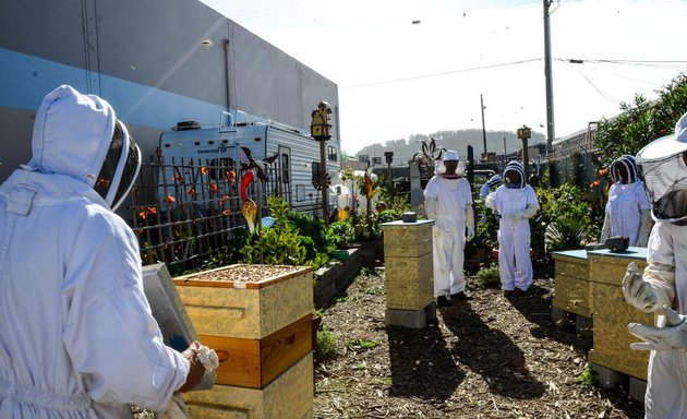 Photo of San Francisco Honey & Pollen Company