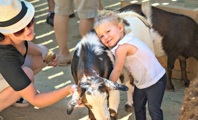 Photo of Griffith Park Pony Rides & Petting Zoo