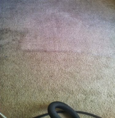 Photo of Cleanmycarpets.co.uk