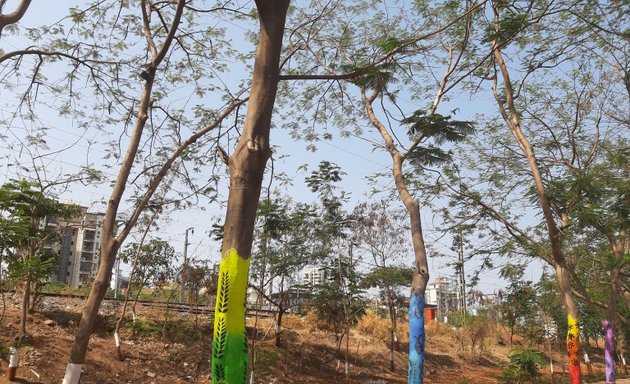 Photo of A Block Garden