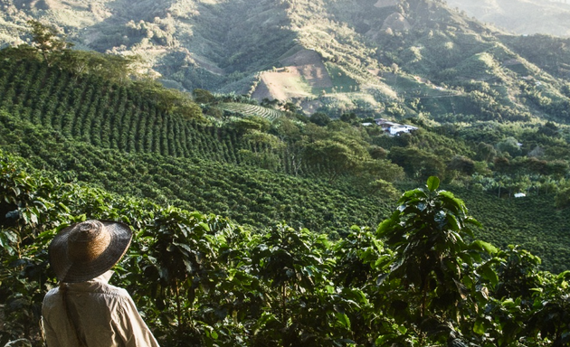 Foto von Kaffee La Finca UG