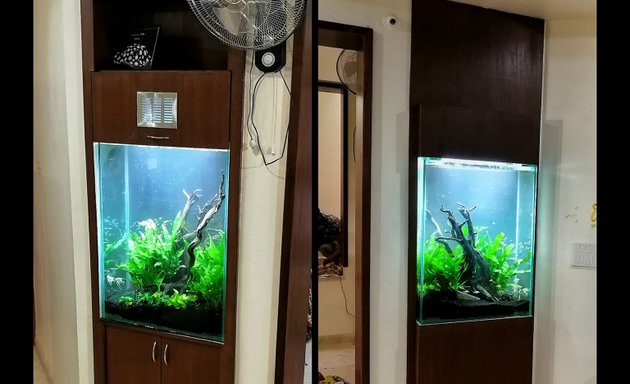 Photo of Green Shack Aquascapes