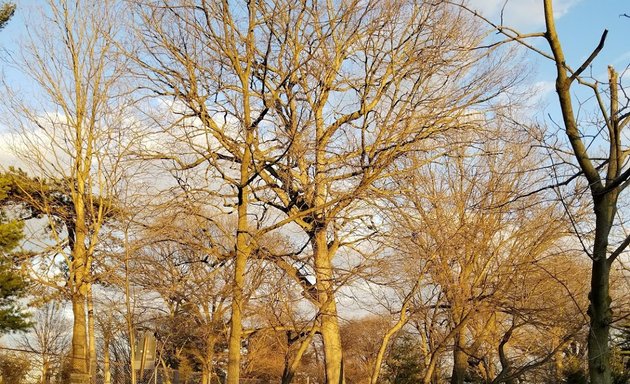 Photo of Classic At Kew Gardens