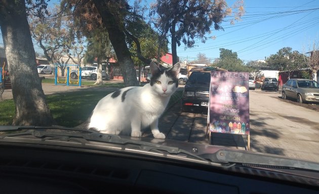 Foto de Plaza Vicente Huidobro