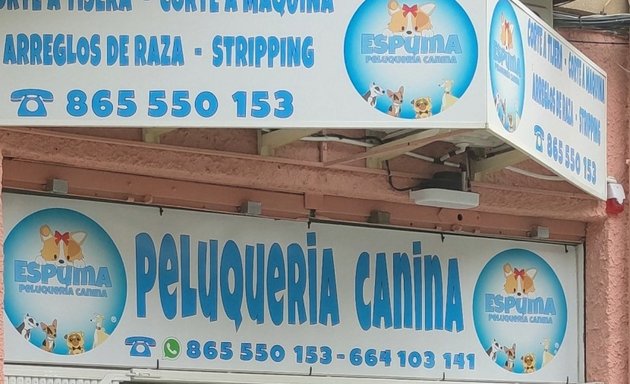 Foto de Peluqueria Canina Espuma