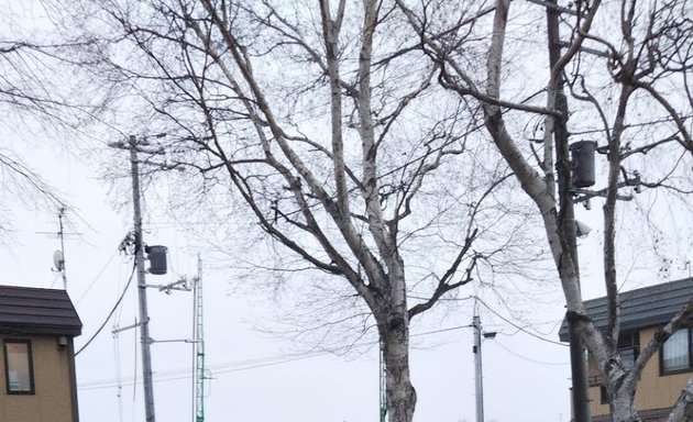 写真 米里公園