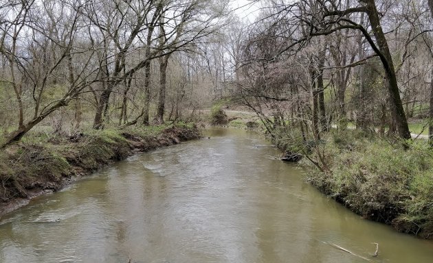 Photo of Lower McAlpine Creek Greenway