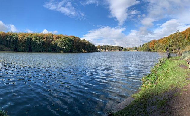 Photo of Newmiller Lake