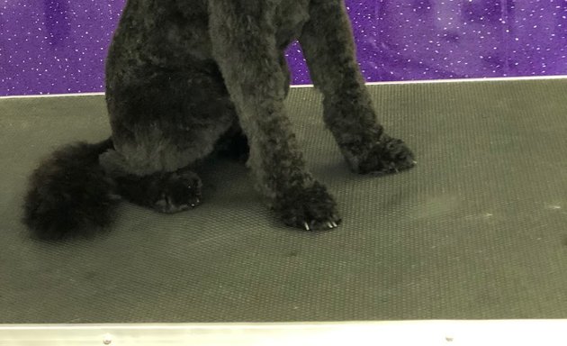 Photo of Million-Fur Dog Grooming