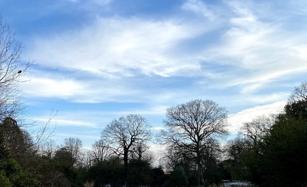 Photo of Greenwich Park Pond