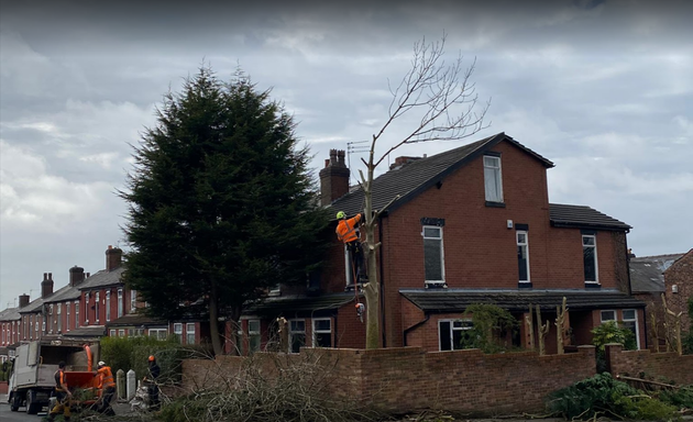 Photo of Warrington Tree & Stump Removals/warrington Tree Surgeon(wa5)