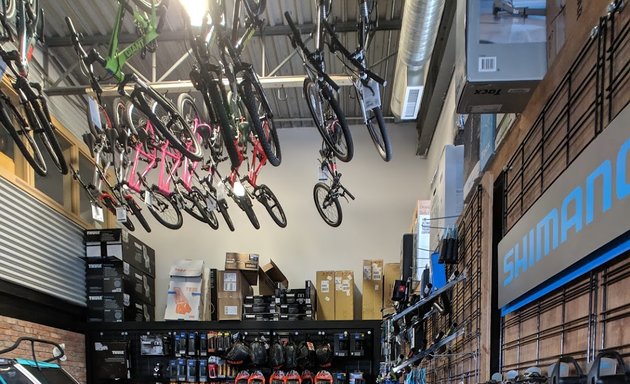 Photo of The Bike Shop North