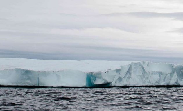 Photo of Iceberg Management