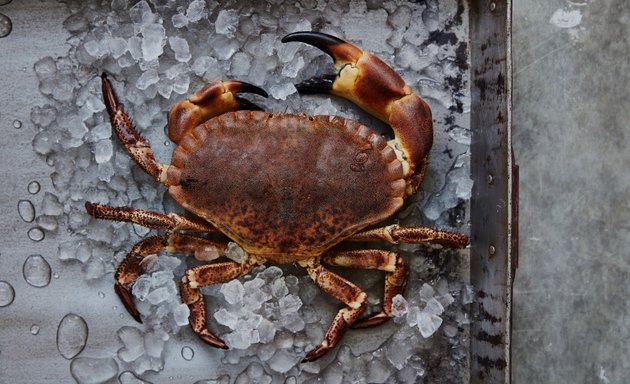 Photo of Jaines & Son Fishmonger