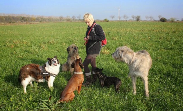 Foto von Hundeschule Patzker & Hundeauslauf Service