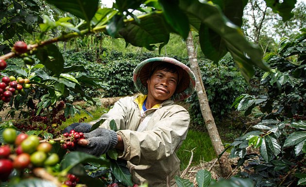Photo of Fair Trade Corporation