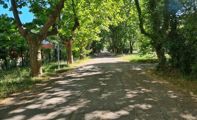 Photo de Cité U' du Parc