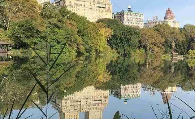 Photo of Cycle Central Park