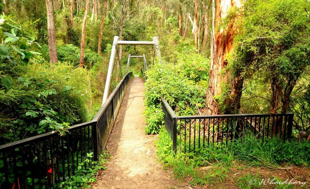Photo of Dandenong Ranges National Park (Ferntree Gully Area)